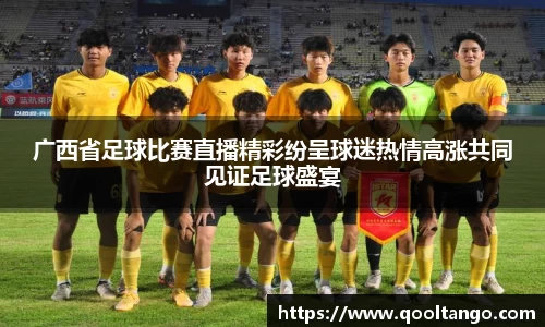 广西省足球比赛直播精彩纷呈球迷热情高涨共同见证足球盛宴