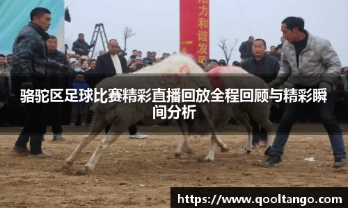 雷火竞技app