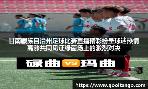 甘南藏族自治州足球比赛直播精彩纷呈球迷热情高涨共同见证绿茵场上的激烈对决